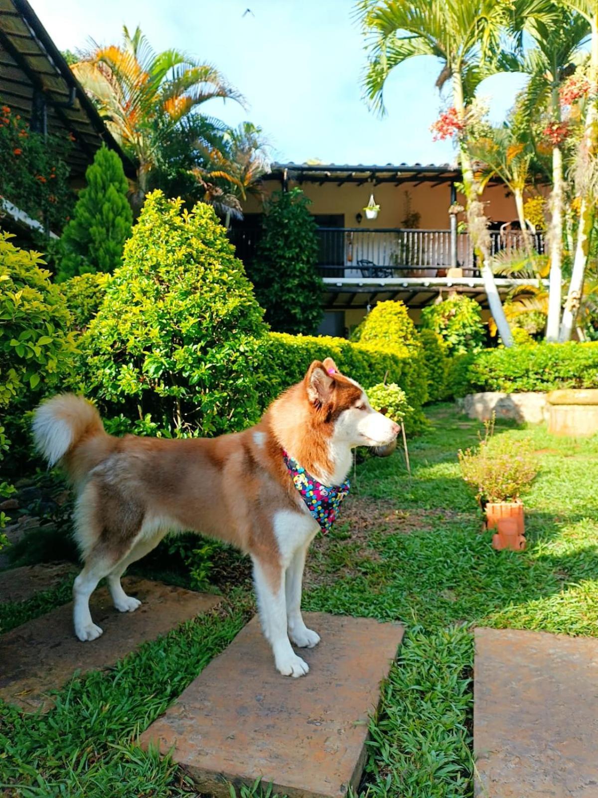 Hotel Campestre Casona Del Camino Real San Gil Luaran gambar